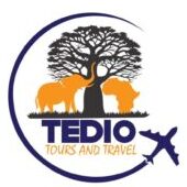 Tedio Tours